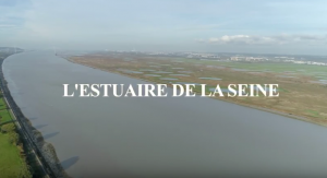 estuaire Seine