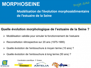 vignette MORPHOSEINE