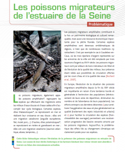 Fiche poissons migrateurs