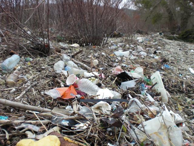 Photo - Plastique en Seine (CG76)