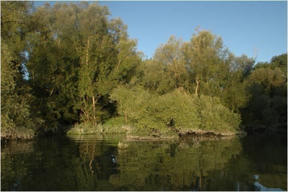 Photo - Secteur des îles