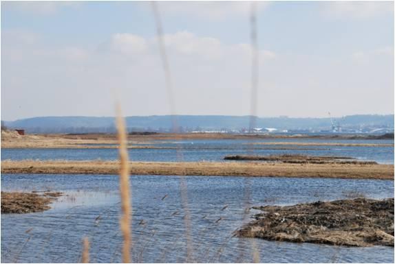 Photo - Espace préservé (C. Fisson - GIP Seine-Aval)