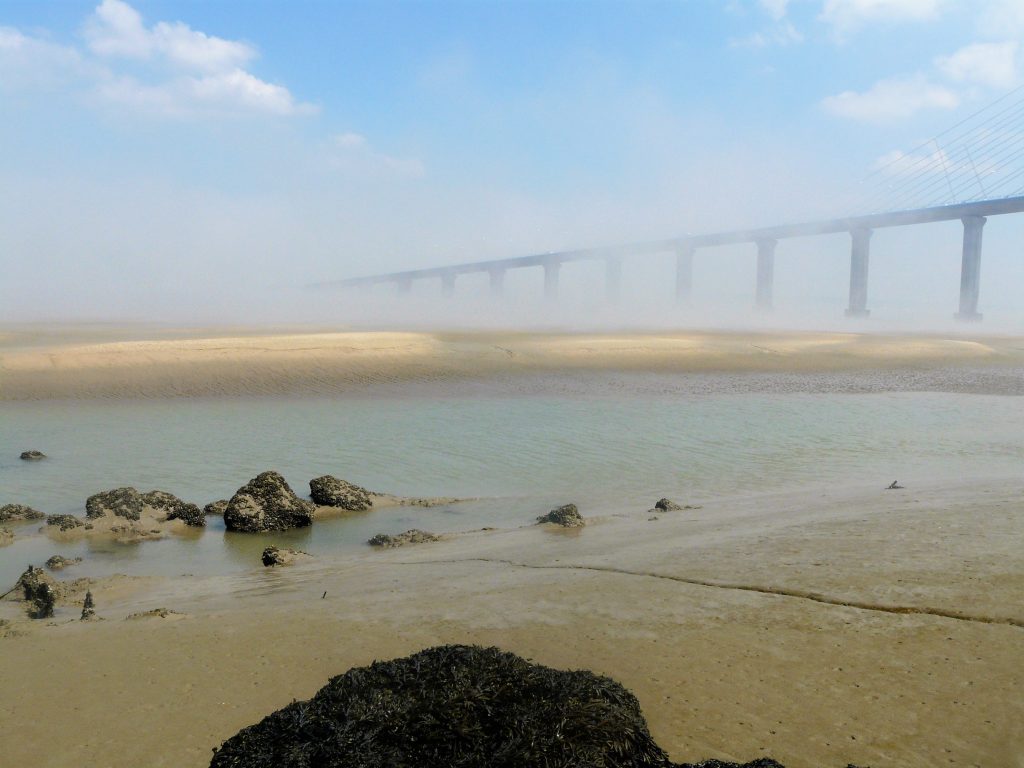 Photo - Pont de Normandie (C. Degrémont - GIP Seine-Aval)