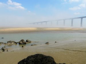 Photo - Pont de Normandie (C. Degrémont - GIP Seine-Aval)