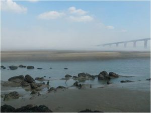 Photo - Pont de Normandie (C. Degrémont - GIP Seine-Aval)