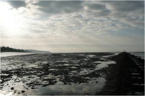 Photo - Digue submersible (C. Fisson - GIP Seine-Aval)