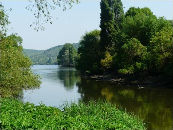 Photo - Secteur des îles (S. Moussard, GIP Seine-Aval)