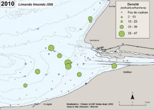 Graphe-2015 - répartition limande