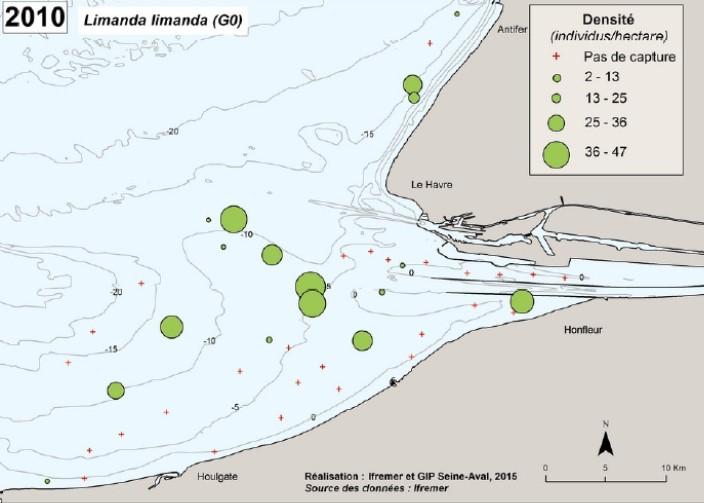 Graphe-2015 - répartition limande