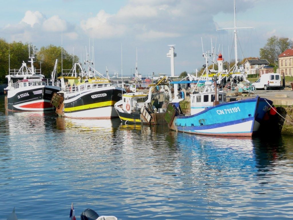 Photo - Port de Honfleur (C. Fisson, GIP Seine-Aval)