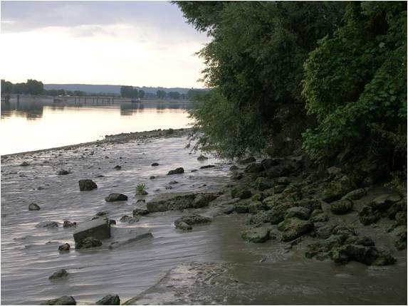 Photo - Vasière