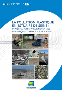 La pollution plastique en estuaire de Seine : imprégnation environnementale, dynamique et impact sur le vivant