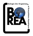 Logo BOREA