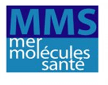logo MMS