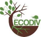 logo ecodiv