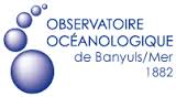 logo obs banyuls