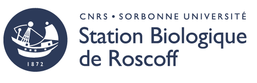logo station roscoff