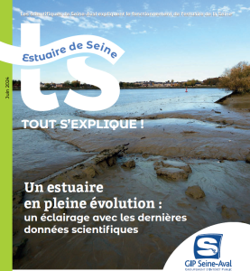tout sexplqiue 4