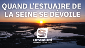 Quand lestuaire de la seine se devoile