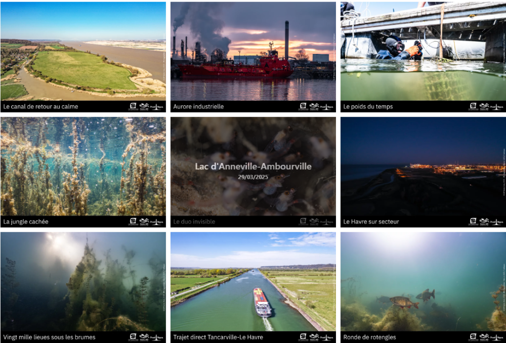 Capture decran 2026 03 09 122325