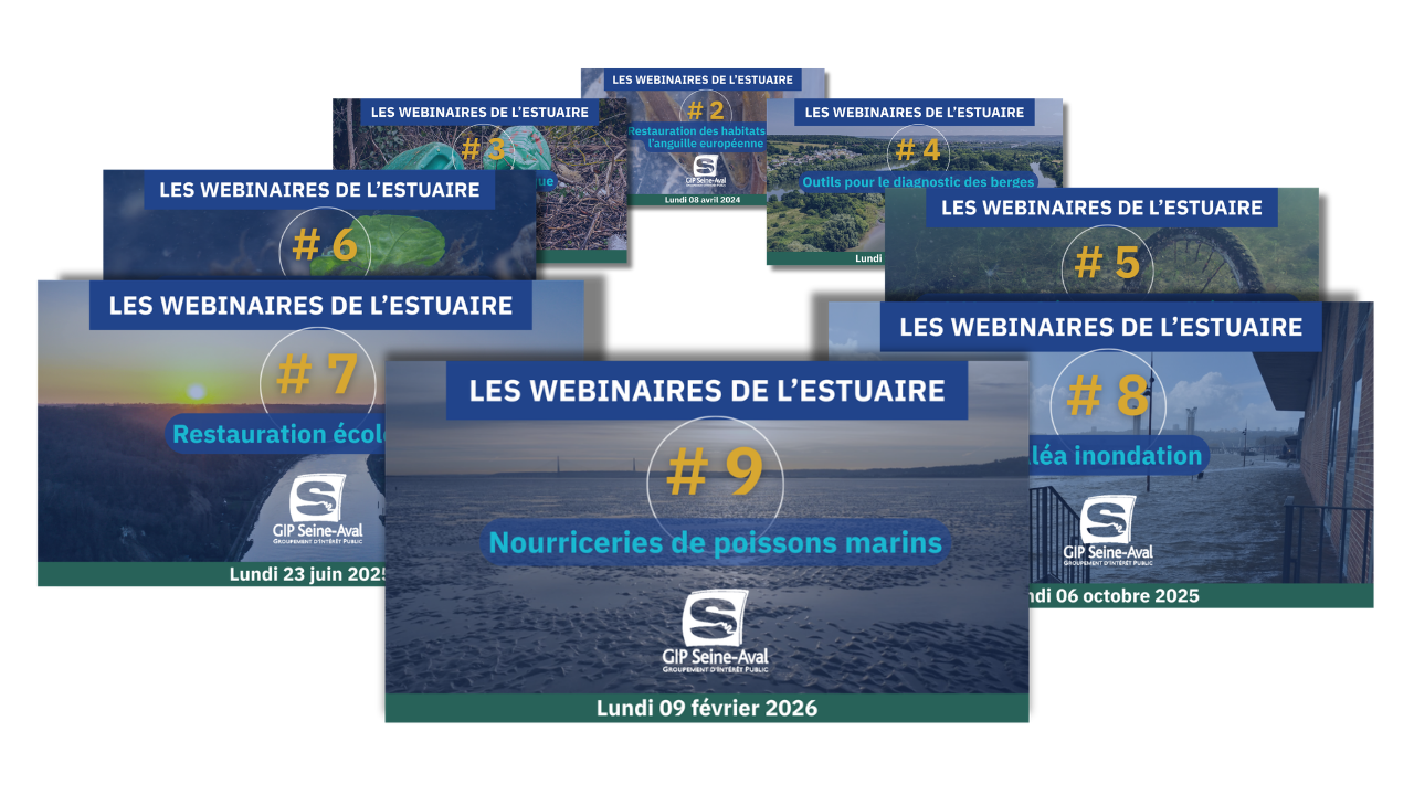 Les webinaires de l'estuaire - Programme 2026 2 Copie de Quel avenir pou les nourriceries de poissons de la Seine 4